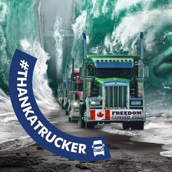 Meet your Posher, Shirley - Picture 1 of 1